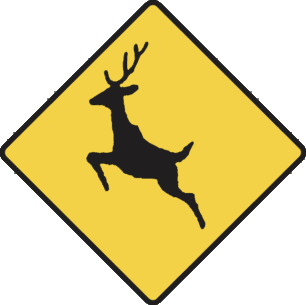 Road signs & markings