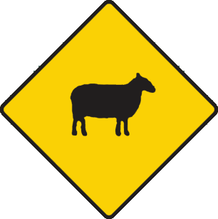 Road signs & markings