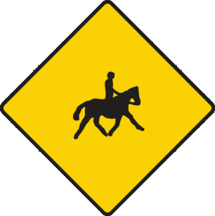 Horses and ponies