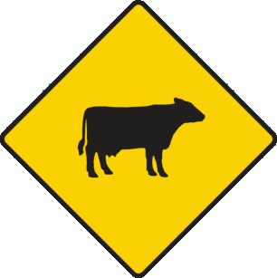 Cattle or farm animals